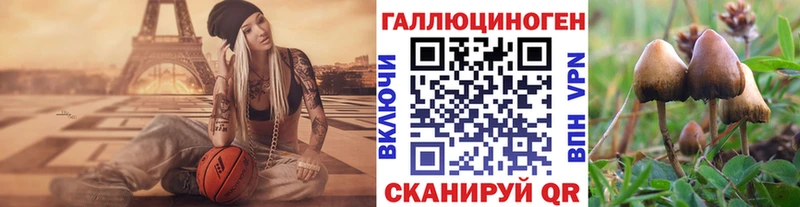 Галлюциногенные грибы GOLDEN TEACHER  Дно 
