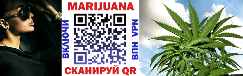 где найти   Дно  Канабис конопля 